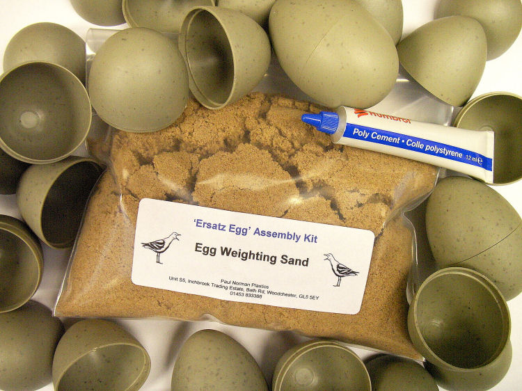 Ersatz Decoy Herring Gull Eggs